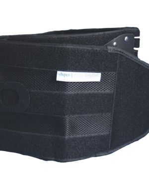 Soporte Lumbar Aspen QuikDraw